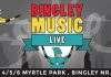 Emerging Talent at Bingley Music Live 2015