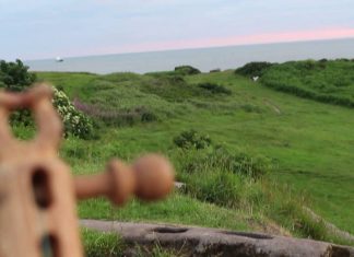 EP PREVIEW: John Reed – ‘Dry The Life’ EP