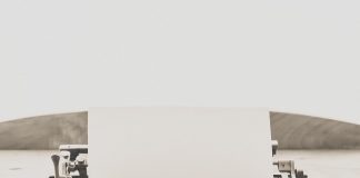 FRANKS COLUMN: ‘Frank, your reviews can be a little, how do I put this, strange and weird’