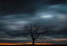 SINGLE REVIEW: Fold – ‘To Be Hated and Thus Corrected’